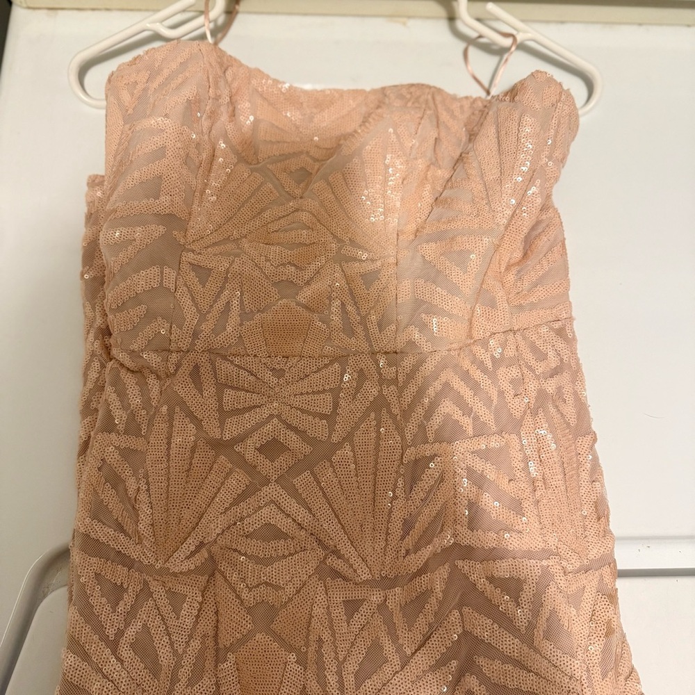 Dress the Population Blush Sequin Claire  Dress